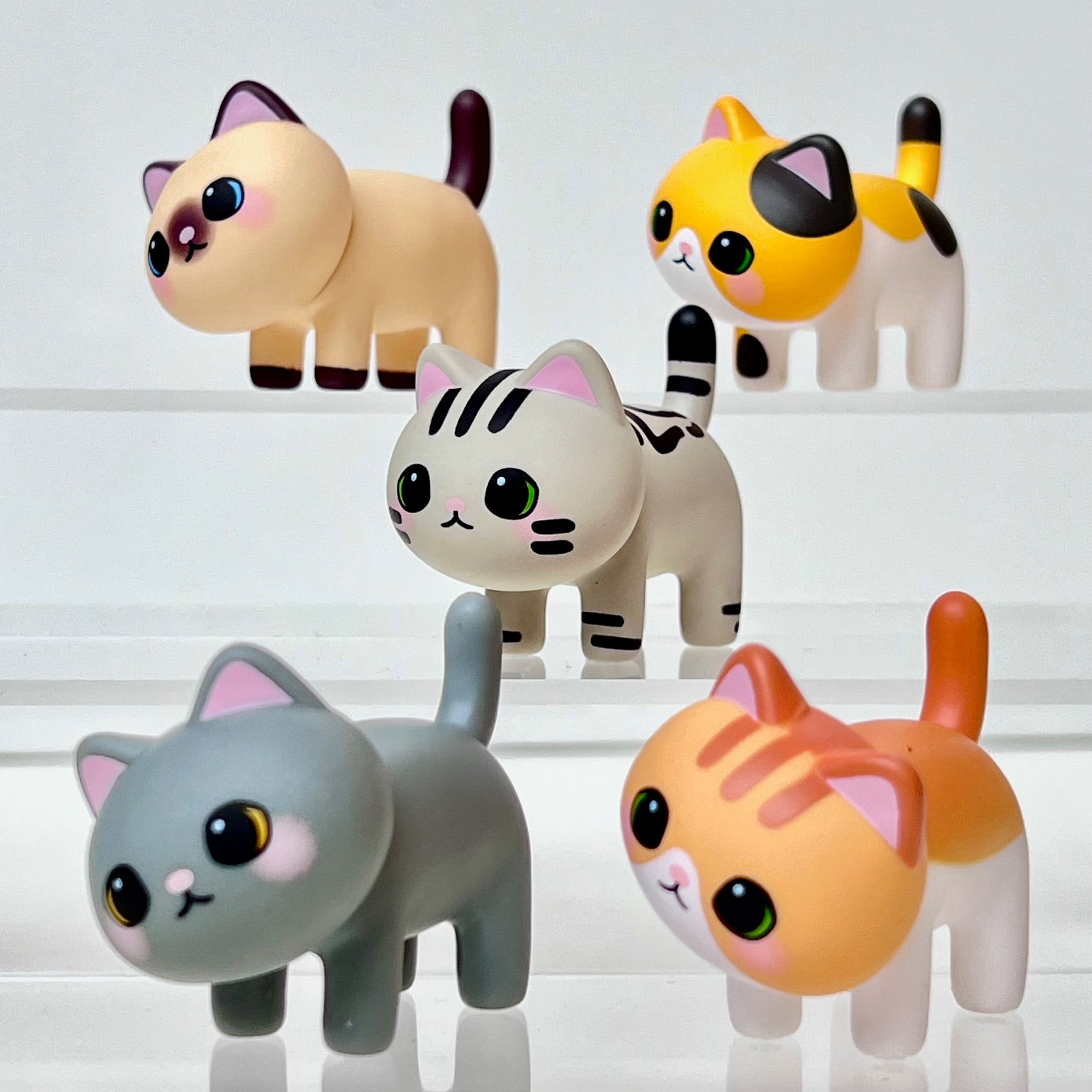 73219 Kitty Cat Blind Box-6