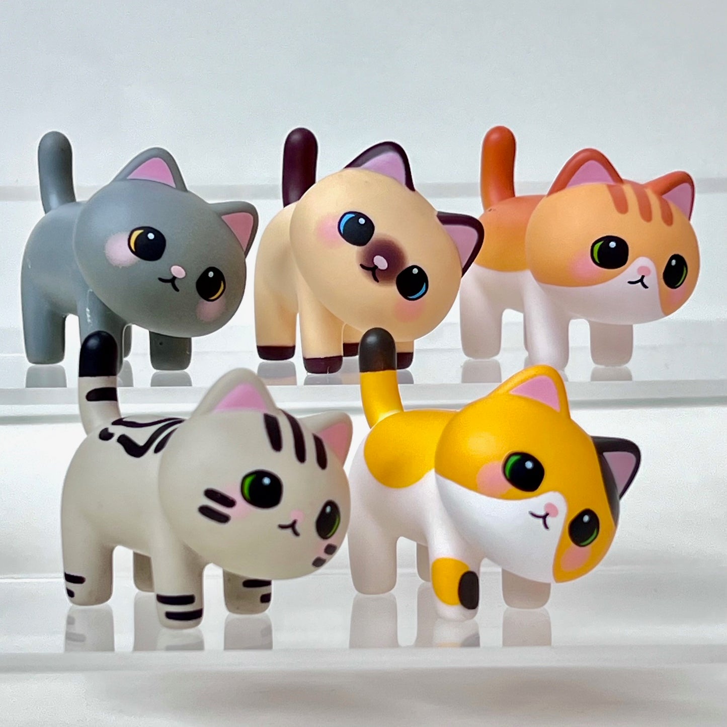 73219 Kitty Cat Blind Box-6