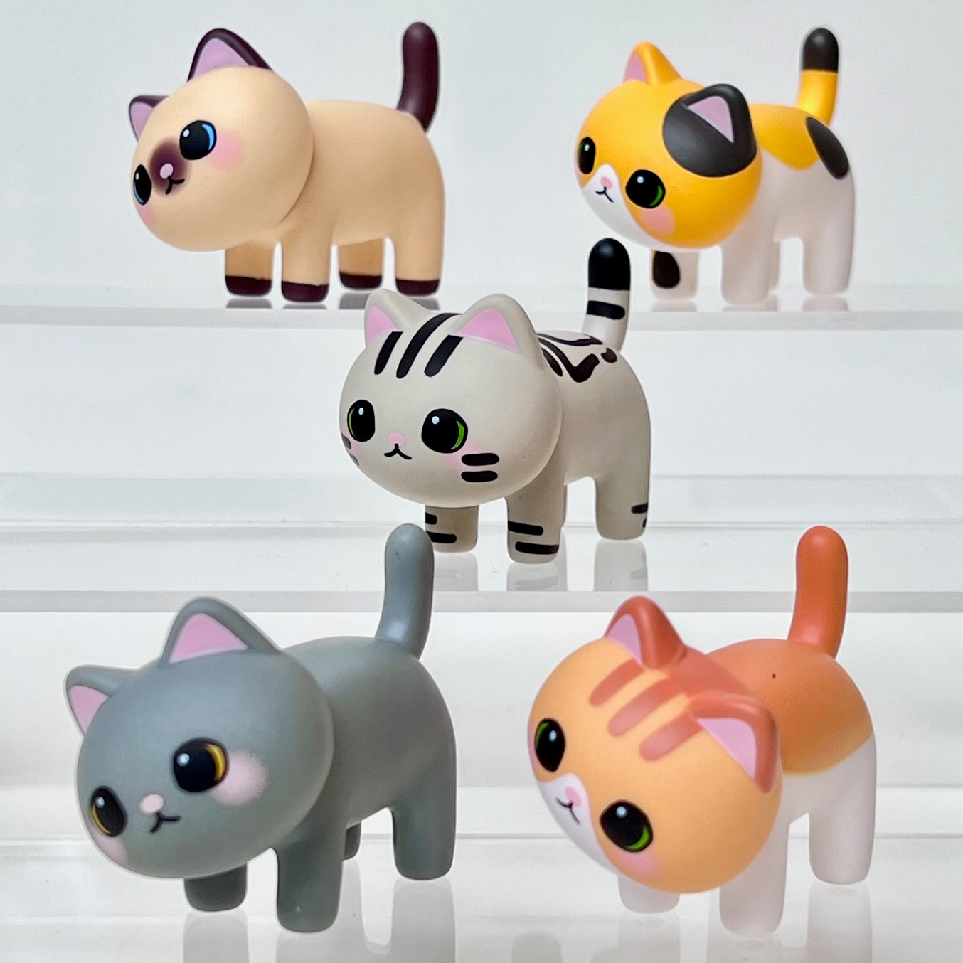 73219 Kitty Cat Blind Box-6