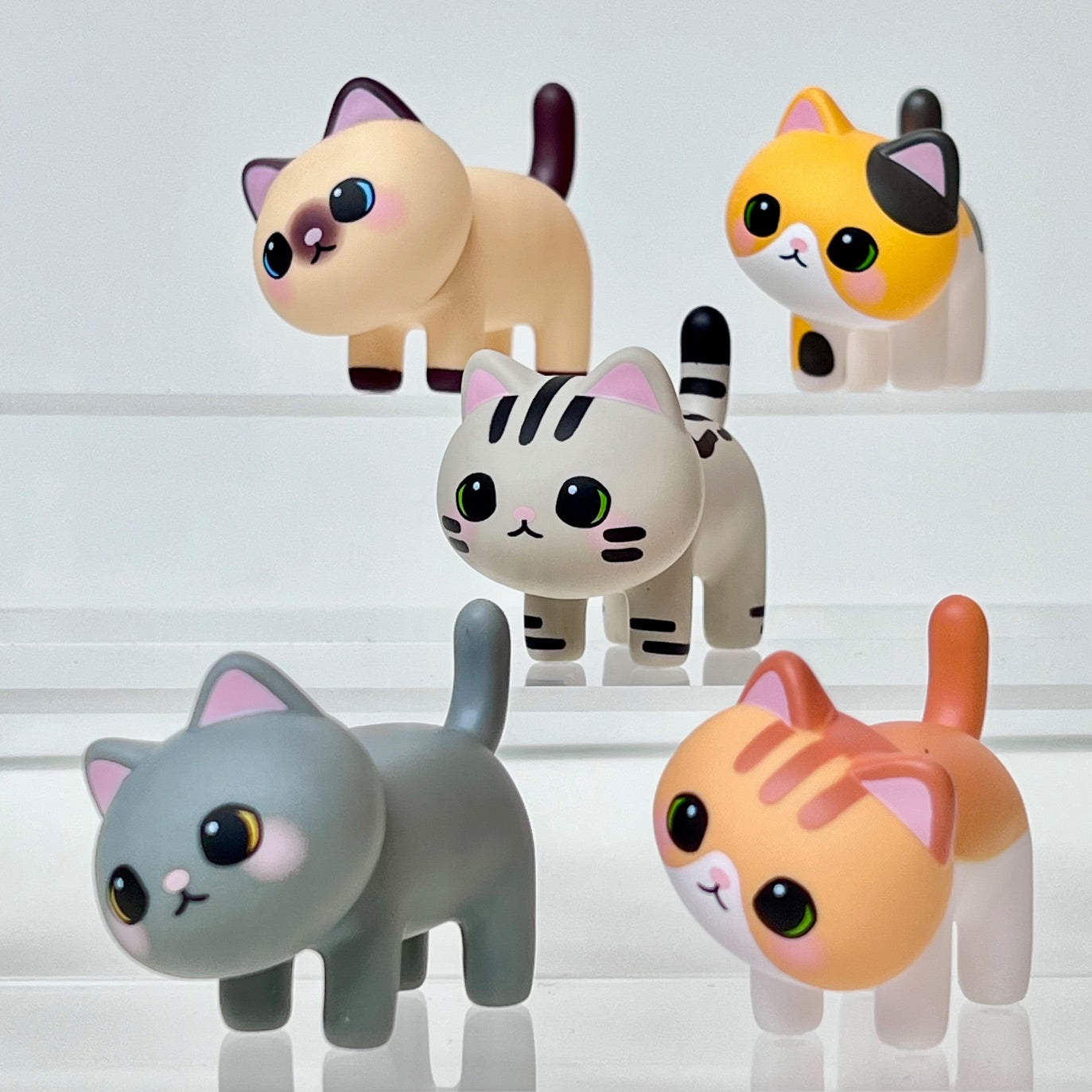 73219 Kitty Cat Blind Box-6
