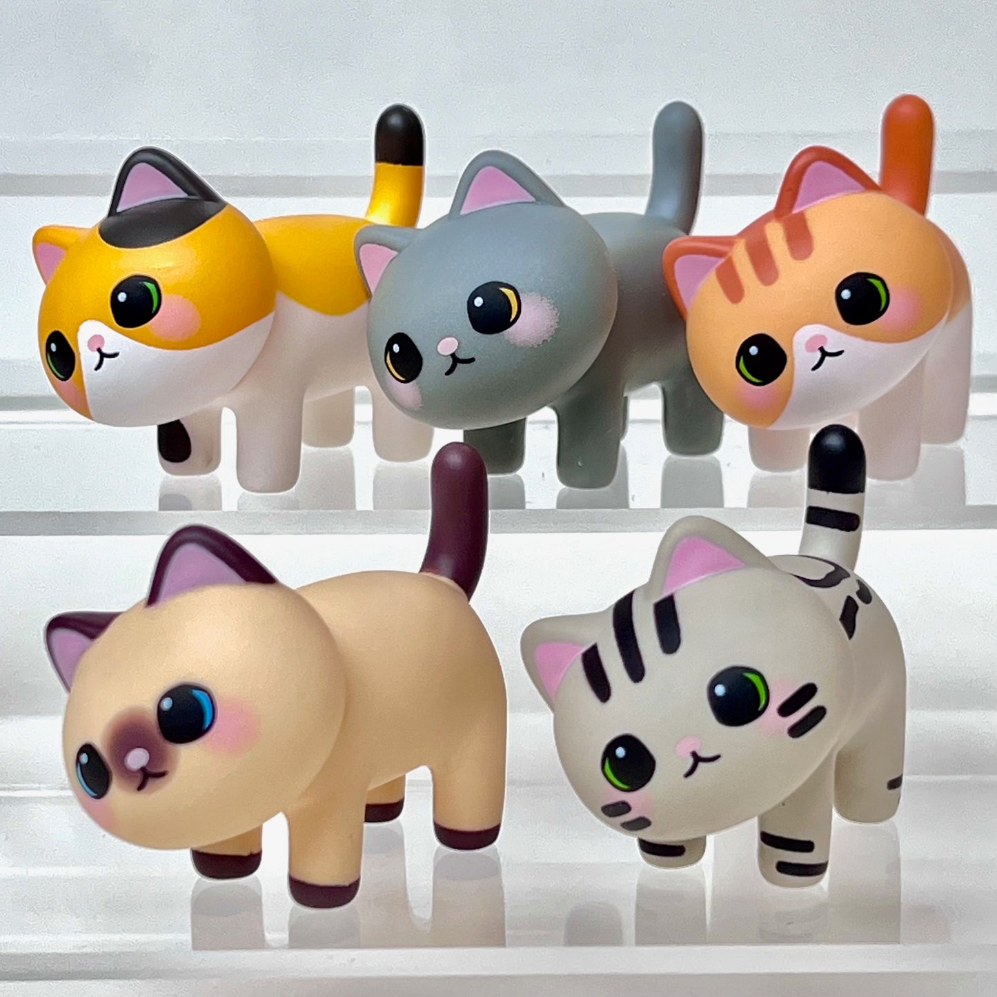 73219 Kitty Cat Blind Box-6