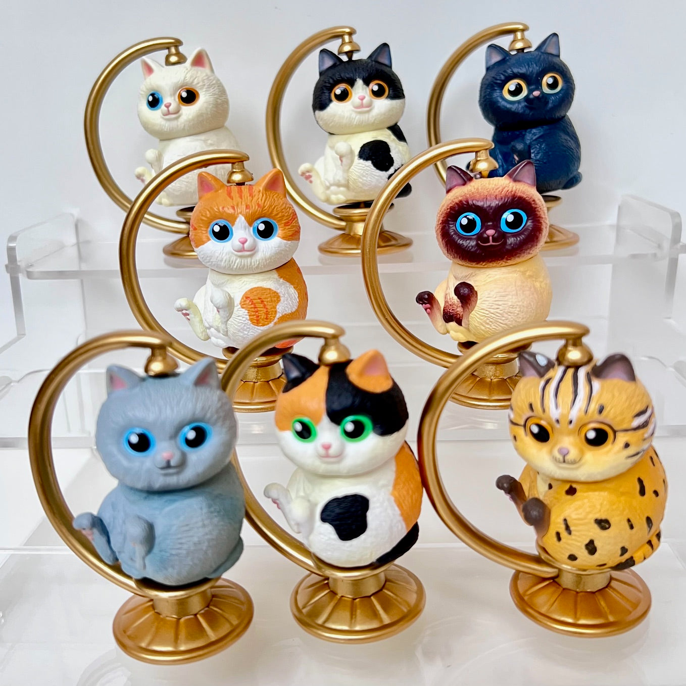 73222 Cat Spinning Globe Blind Box-8