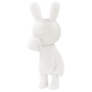 73242 Black Rabbit SO-TA Blind Box-6
