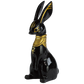 73244 Egyptian Deities Blind Box-6