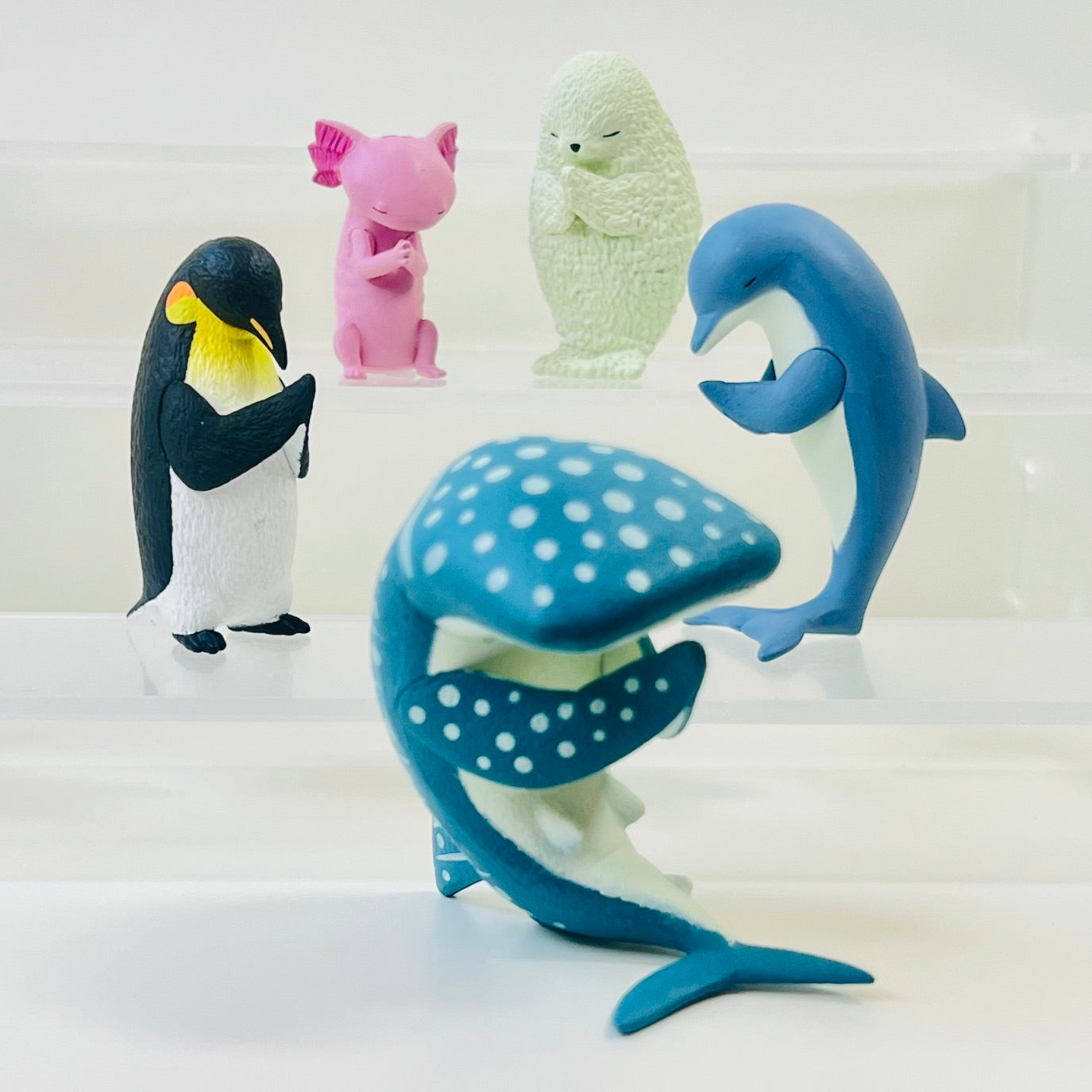 73250 Wishing Ocean Animals Blind Box-10