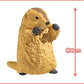 73254 Fighting Marmot Blind Box-10