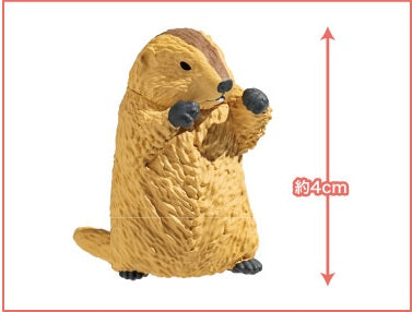 73254 Fighting Marmot Blind Box-10