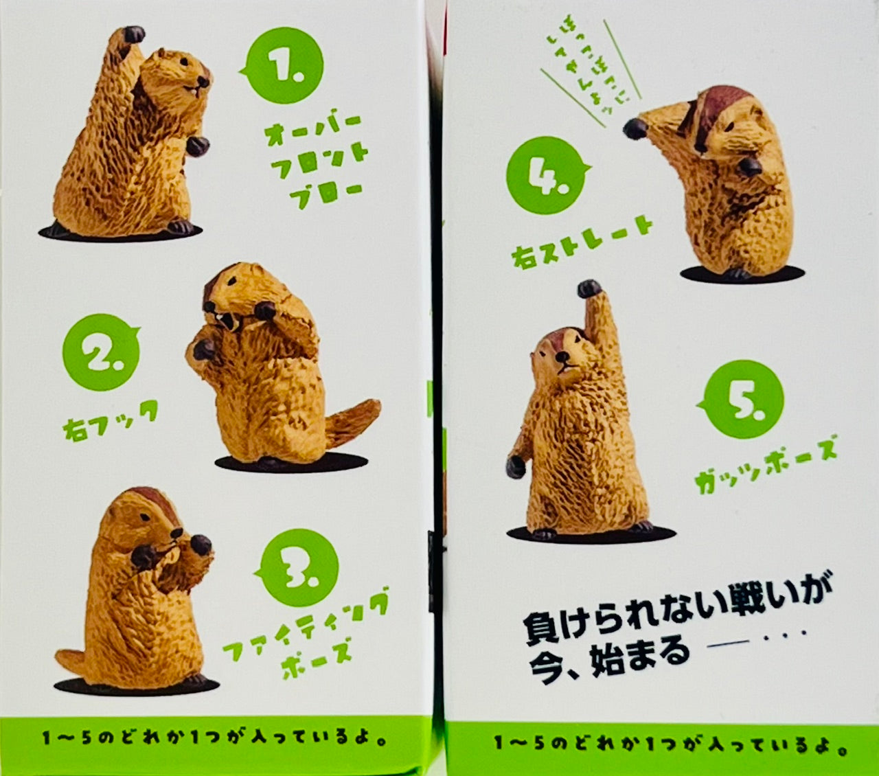 73254 Fighting Marmot Blind Box-10