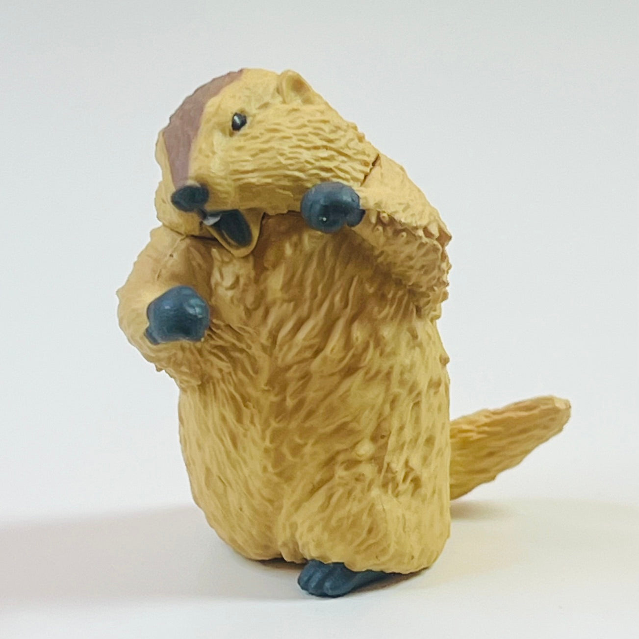 73254 Fighting Marmot Blind Box-10