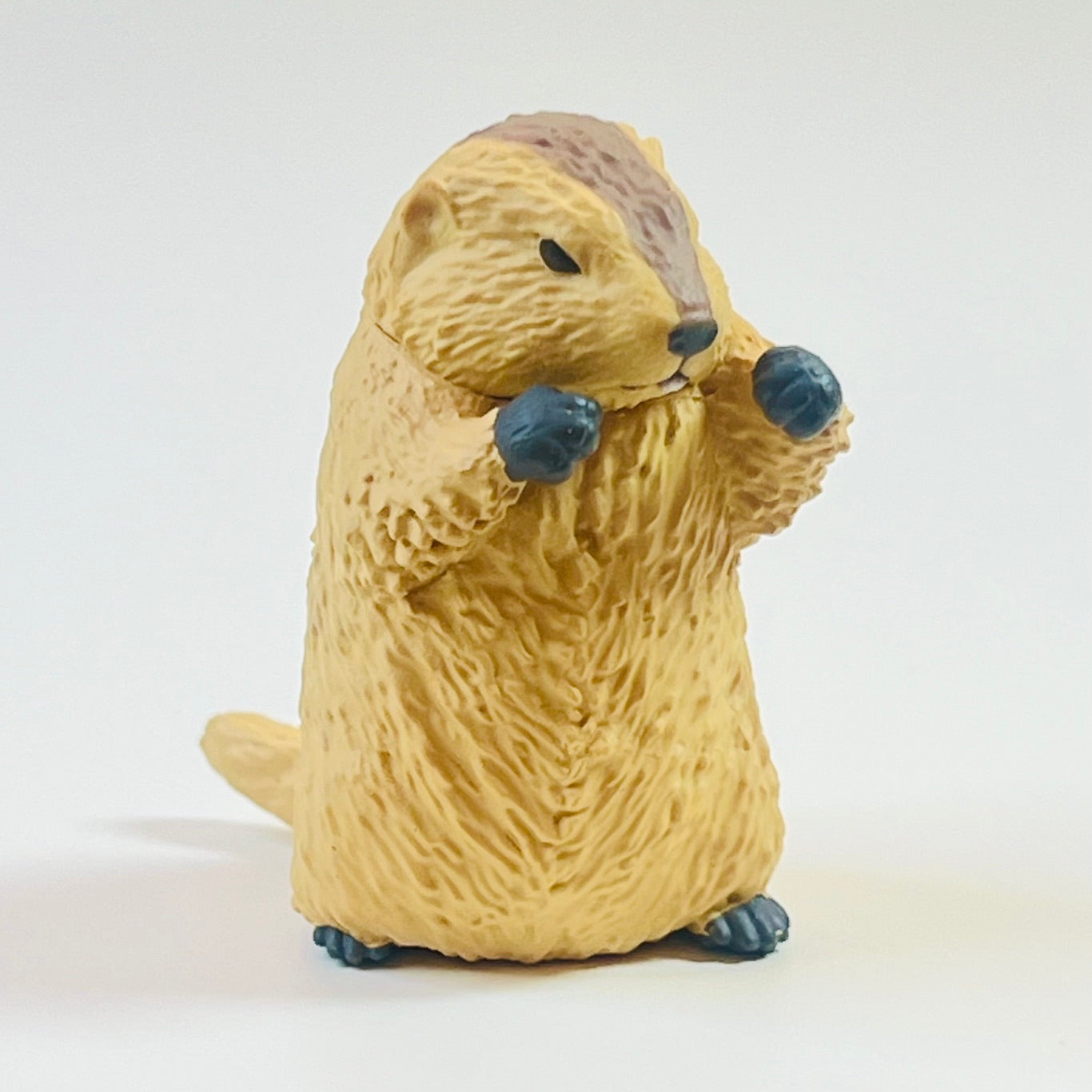 73254 Fighting Marmot Blind Box-10
