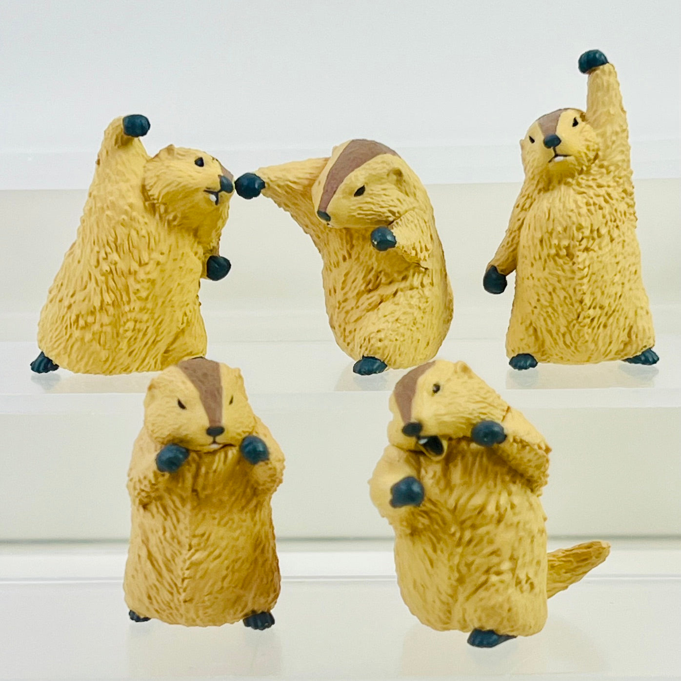 73254 Fighting Marmot Blind Box-10