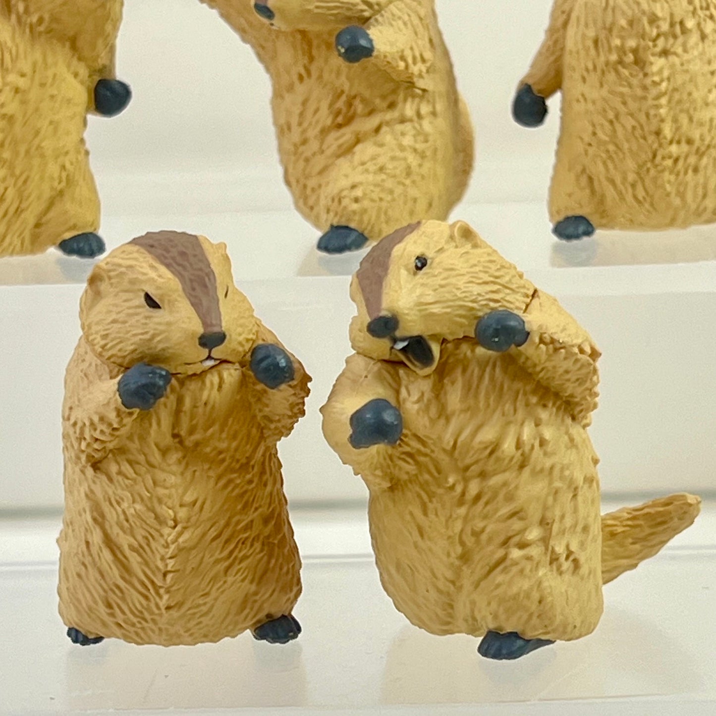73254 Fighting Marmot Blind Box-10
