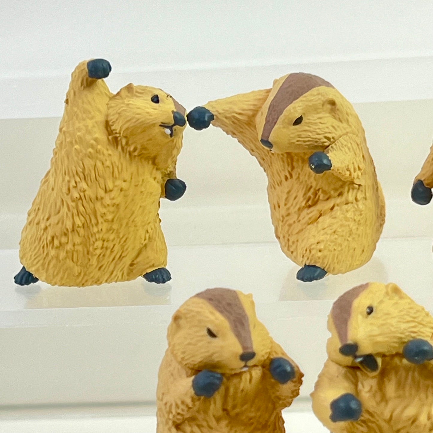 73254 Fighting Marmot Blind Box-10