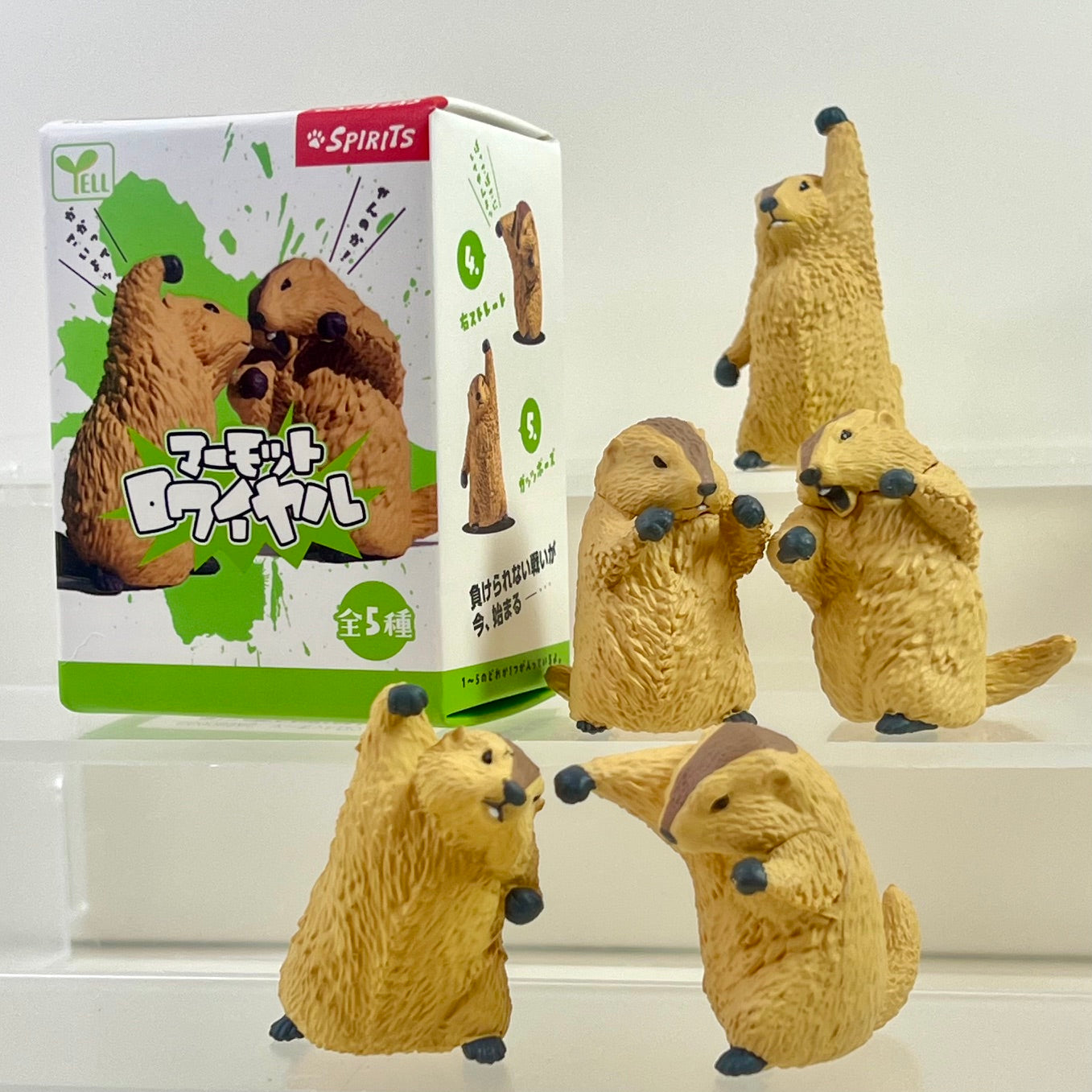 73254 Fighting Marmot Blind Box-10