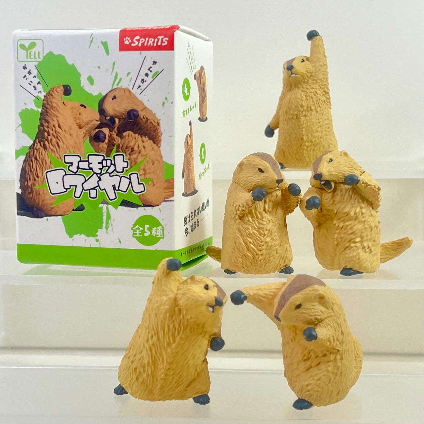 73254 Fighting Marmot Blind Box-10