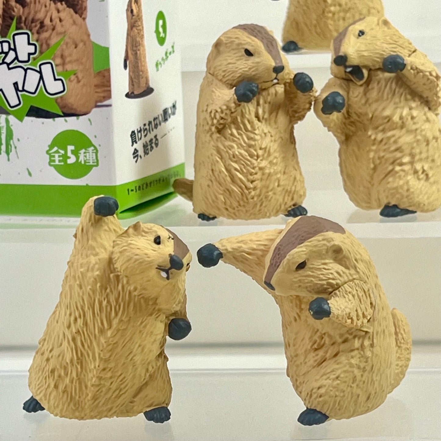 73254 Fighting Marmot Blind Box-10