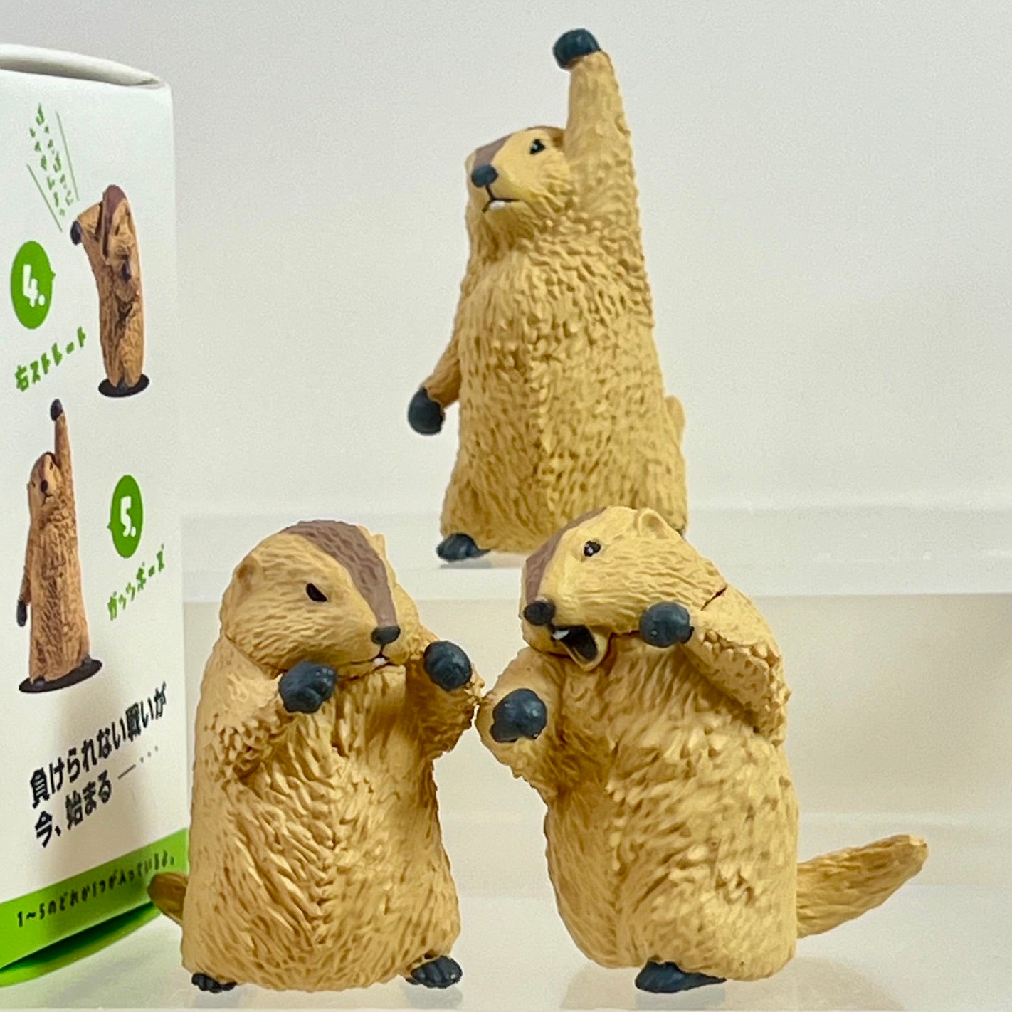 73254 Fighting Marmot Blind Box-10