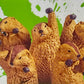 73254 Fighting Marmot Blind Box-10