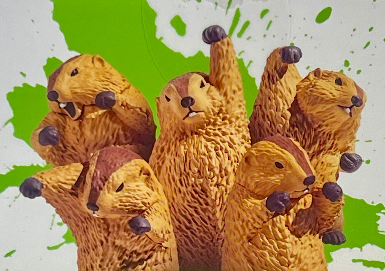 73254 Fighting Marmot Blind Box-10