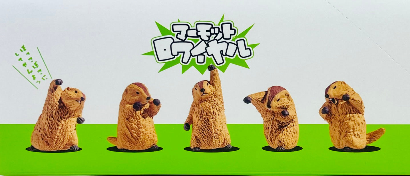 73254 Fighting Marmot Blind Box-10