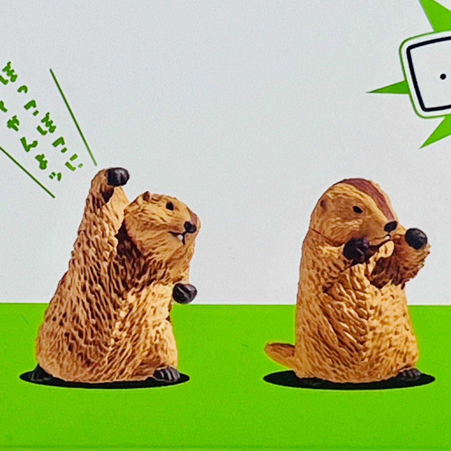 73254 Fighting Marmot Blind Box-10