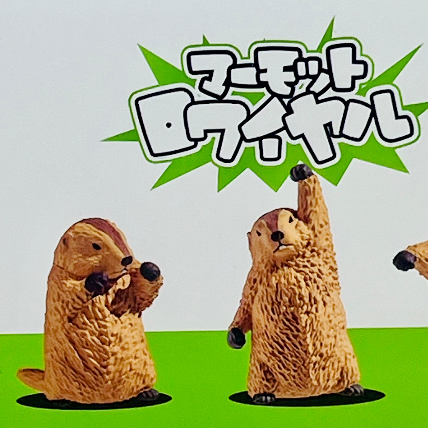 73254 Fighting Marmot Blind Box-10