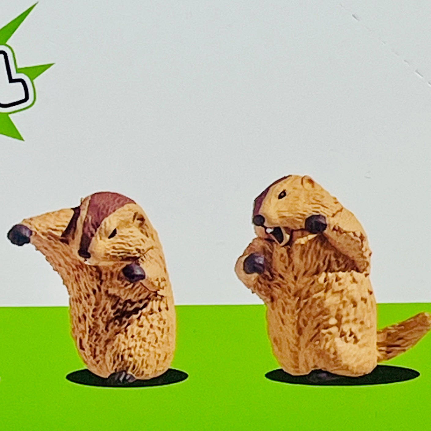 73254 Fighting Marmot Blind Box-10