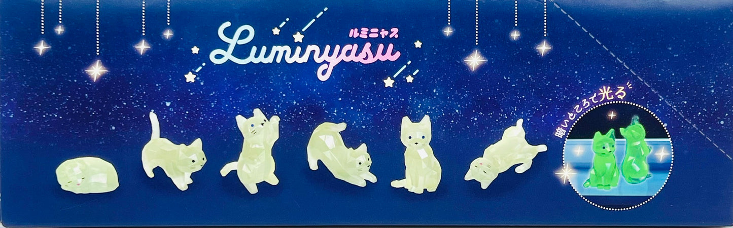 73256 Glow Cats Blind Box-10