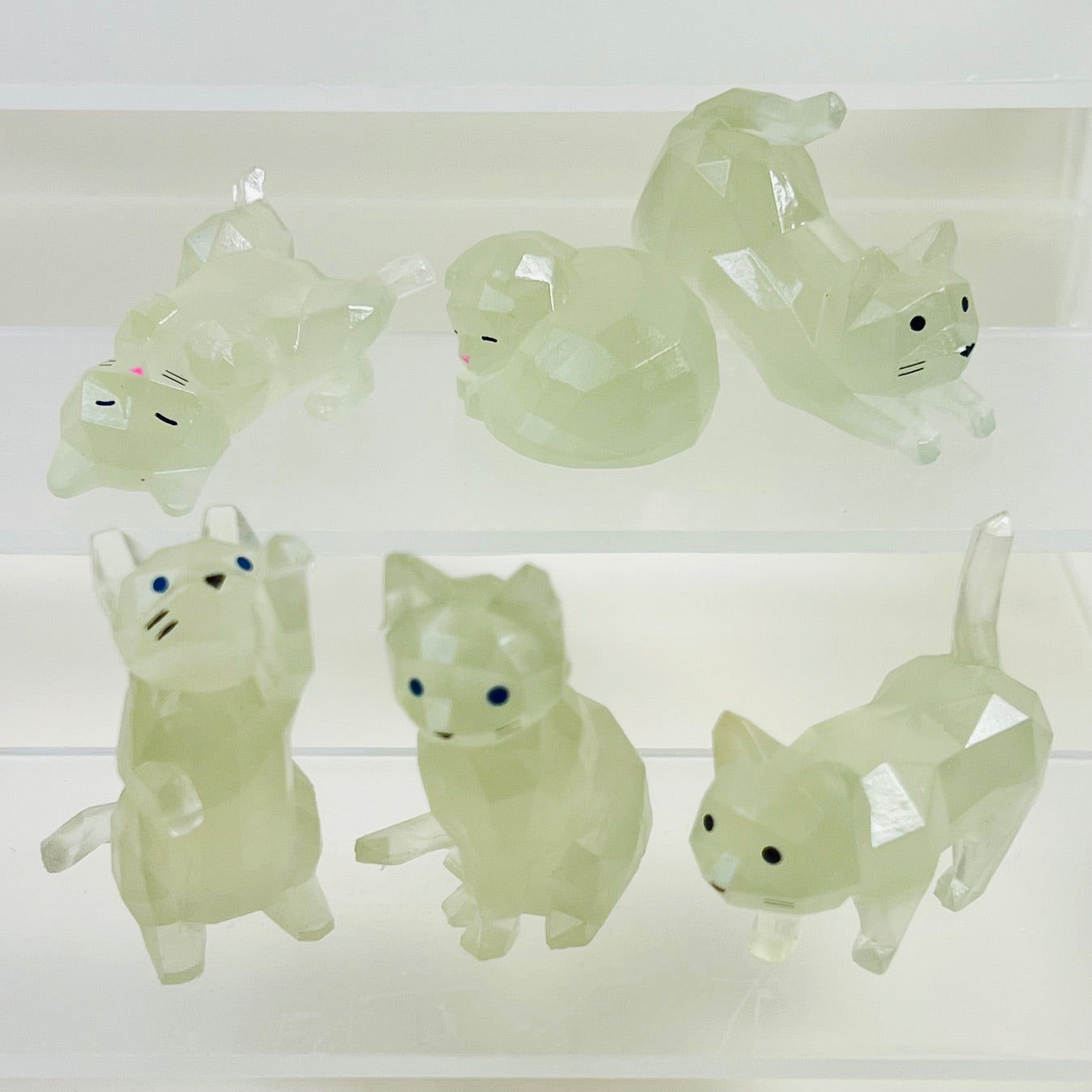 73256 Glow Cats Blind Box-10