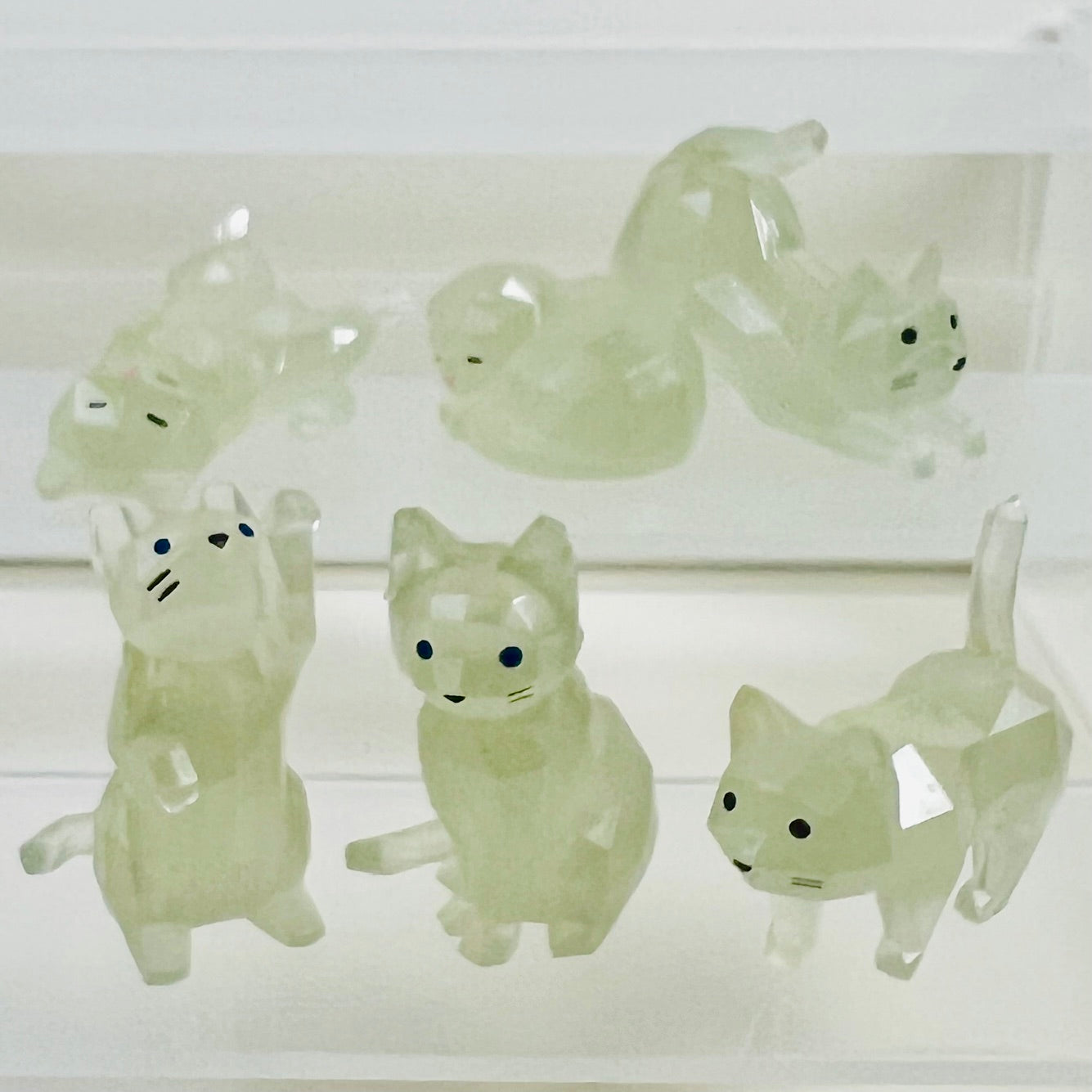 73256 Glow Cats Blind Box-10