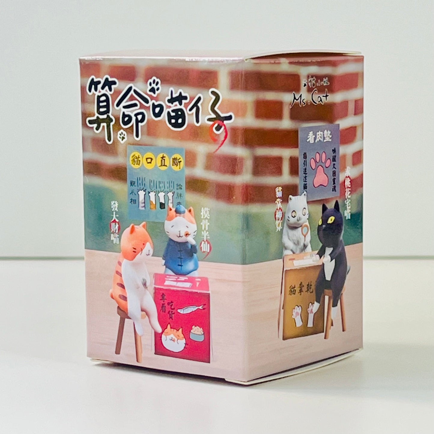 73257 Cat Fortune Tellers Blind Box-6