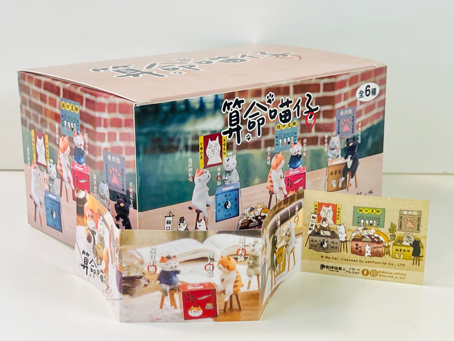 73257 Cat Fortune Tellers Blind Box-6