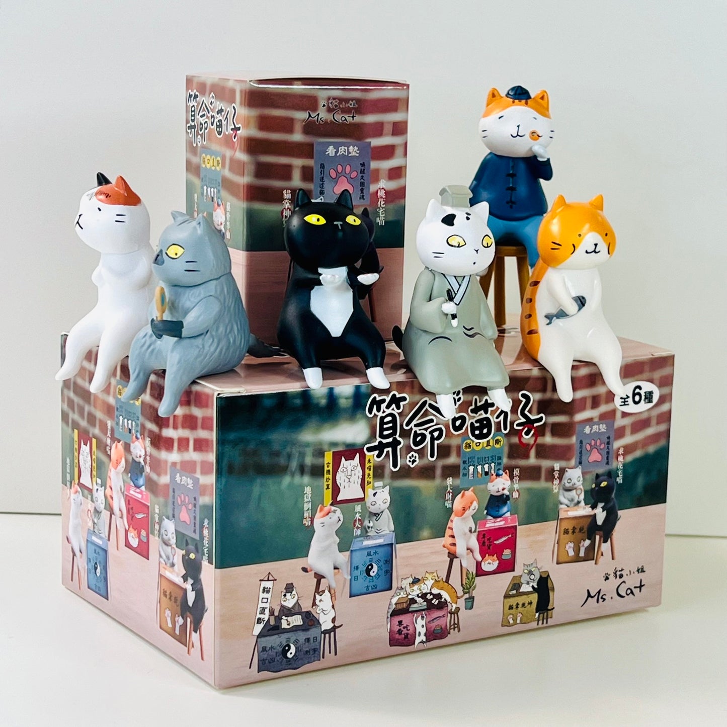 73257 Cat Fortune Tellers Blind Box-6