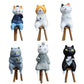 73257 Cat Fortune Tellers Blind Box-6