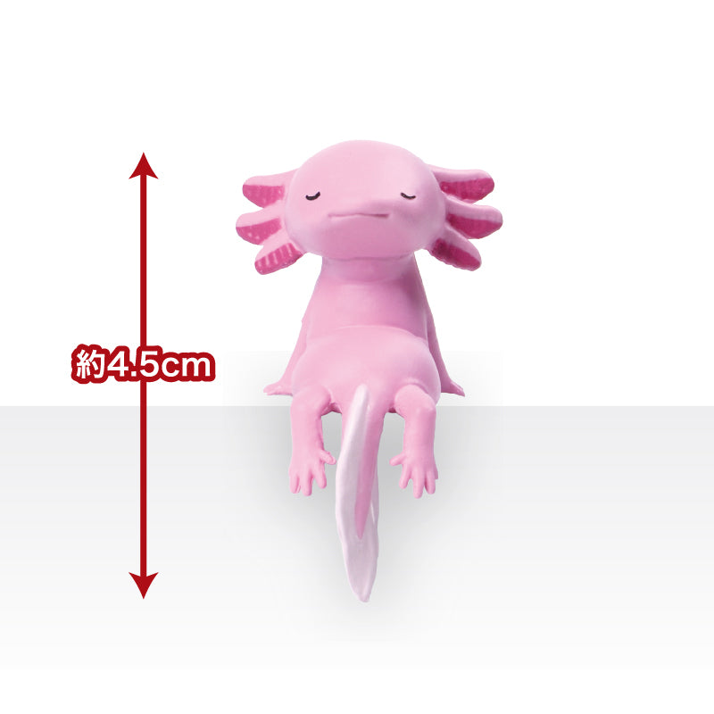73266 Sitting Axolotls Blind Box-10
