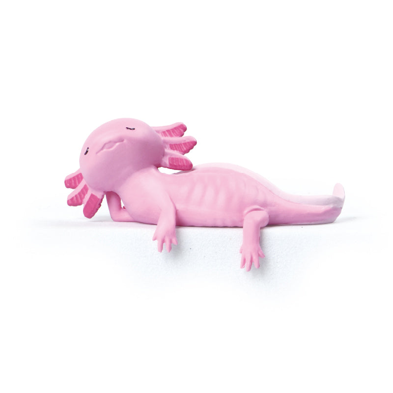 73266 Sitting Axolotls Blind Box-10