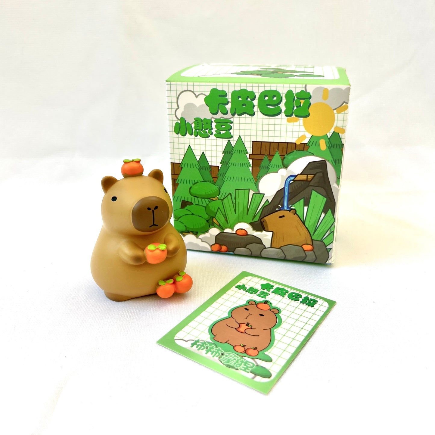 71013 CAPYBARA VOL.1 FIGURINE BLIND BOX-6