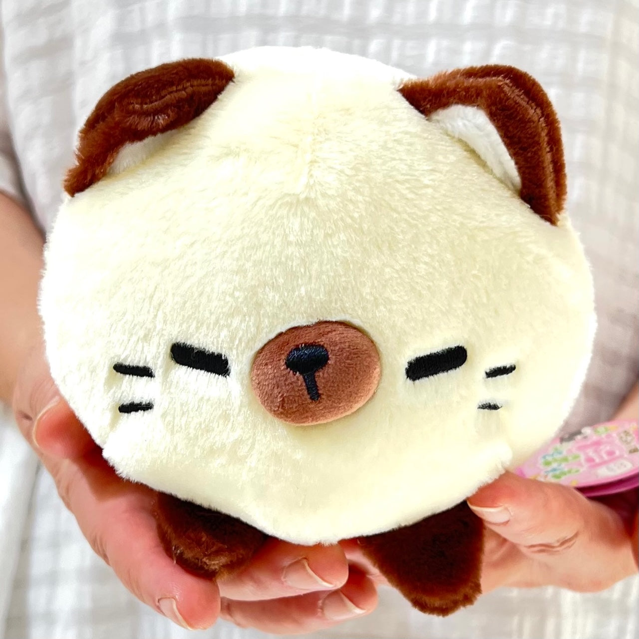 Mochi plush outlet cat