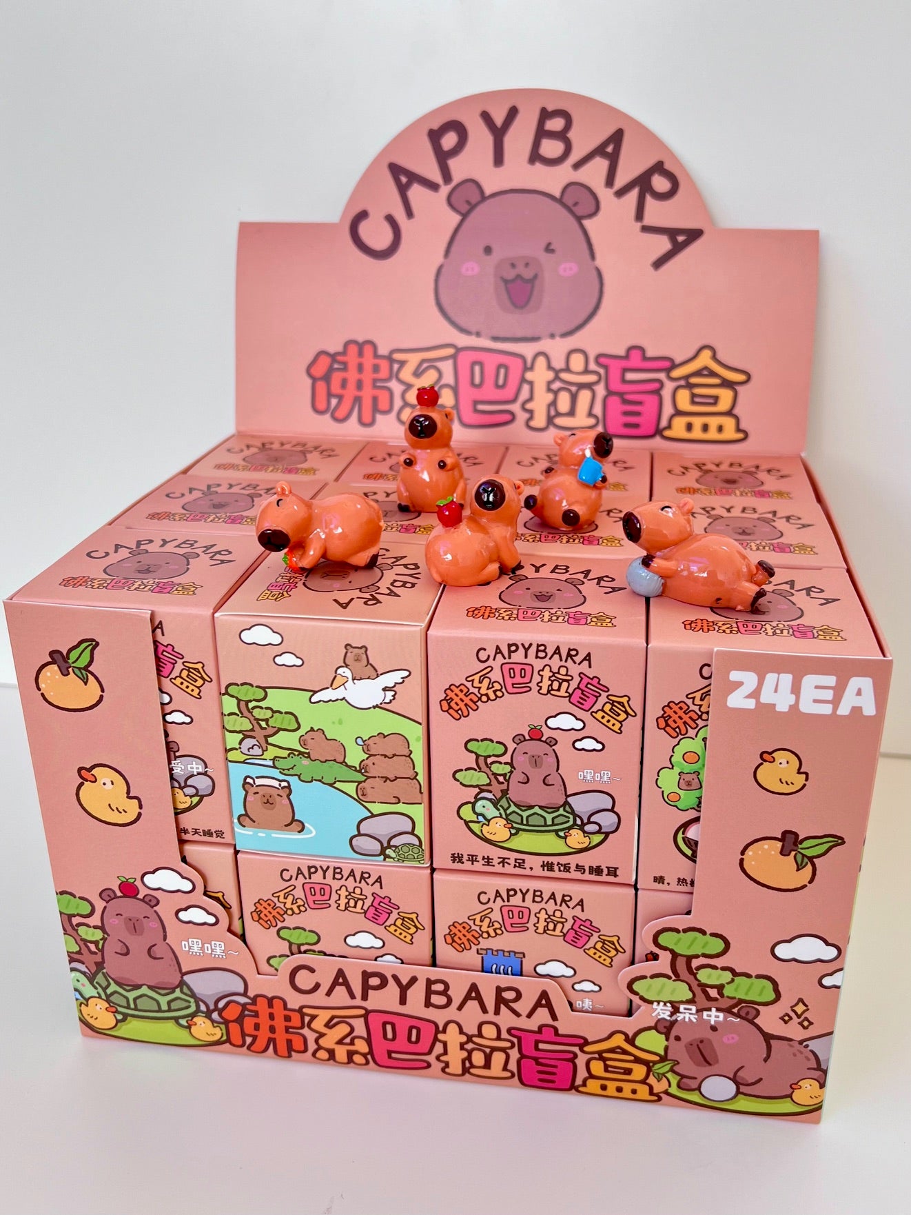 71043 CAPYBARA BLIND BOX-24