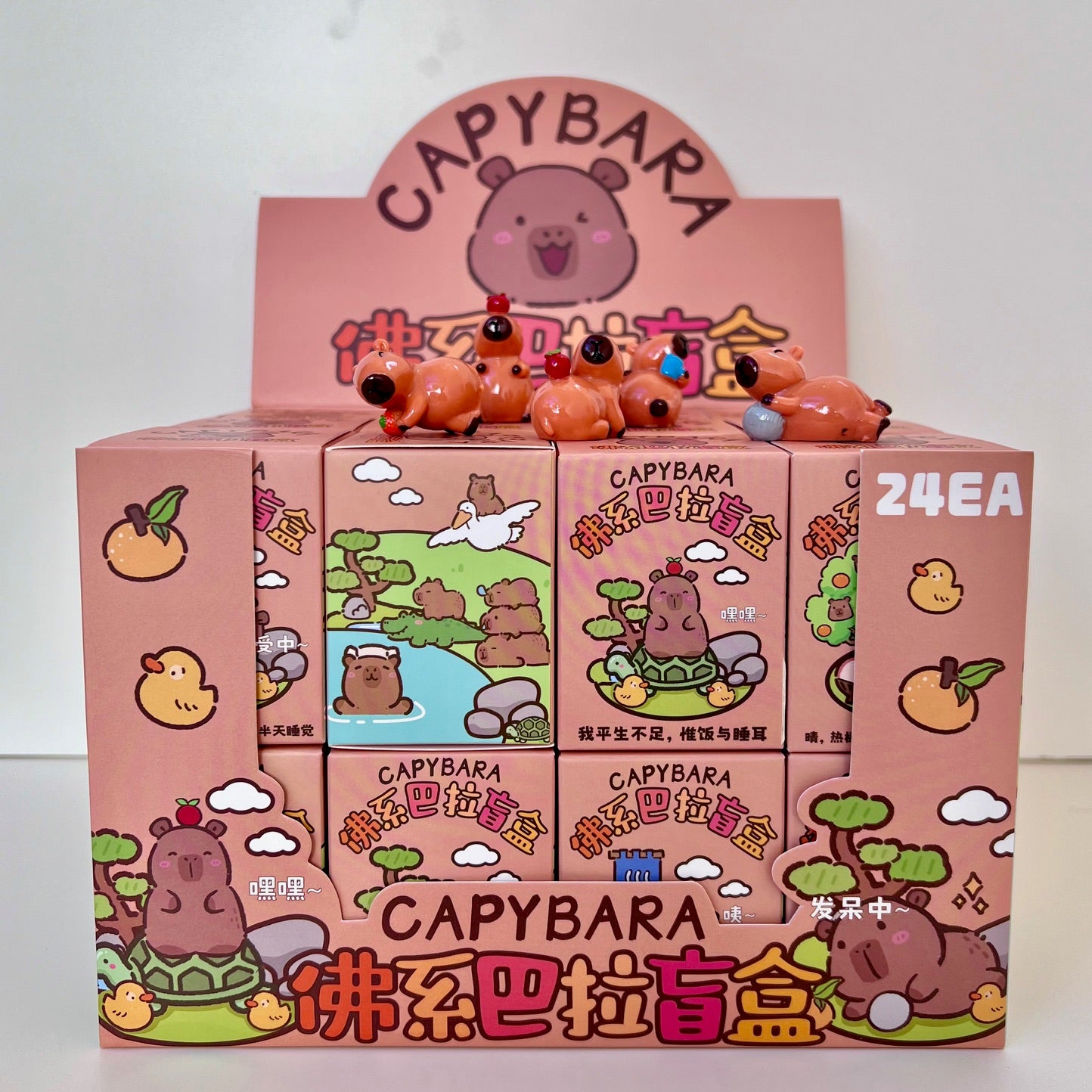 71043 CAPYBARA BLIND BOX-24