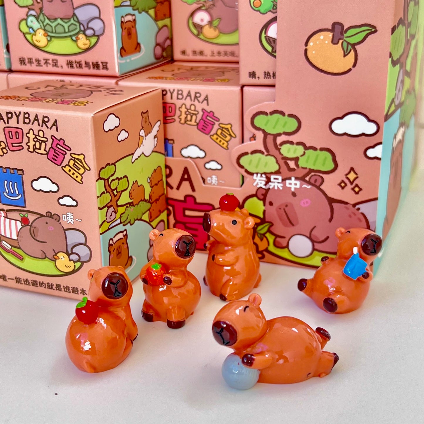 71043 CAPYBARA BLIND BOX-24