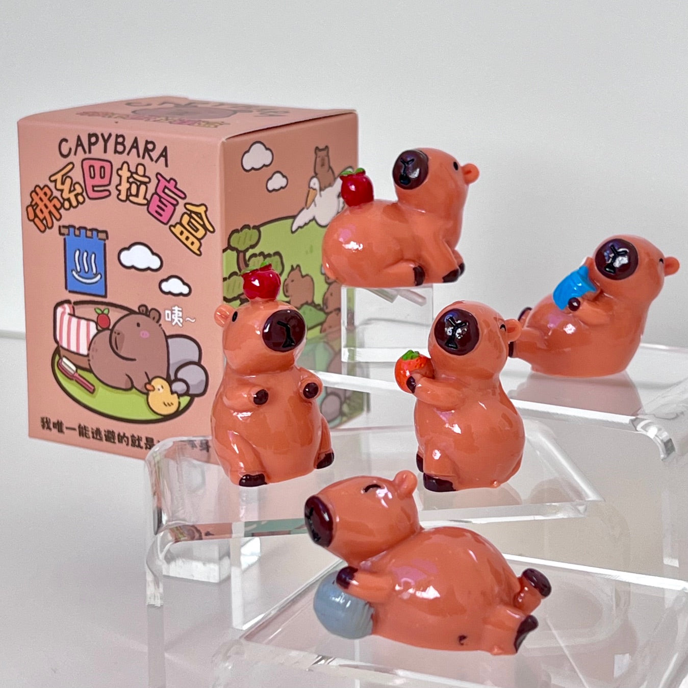 71043 CAPYBARA BLIND BOX-24