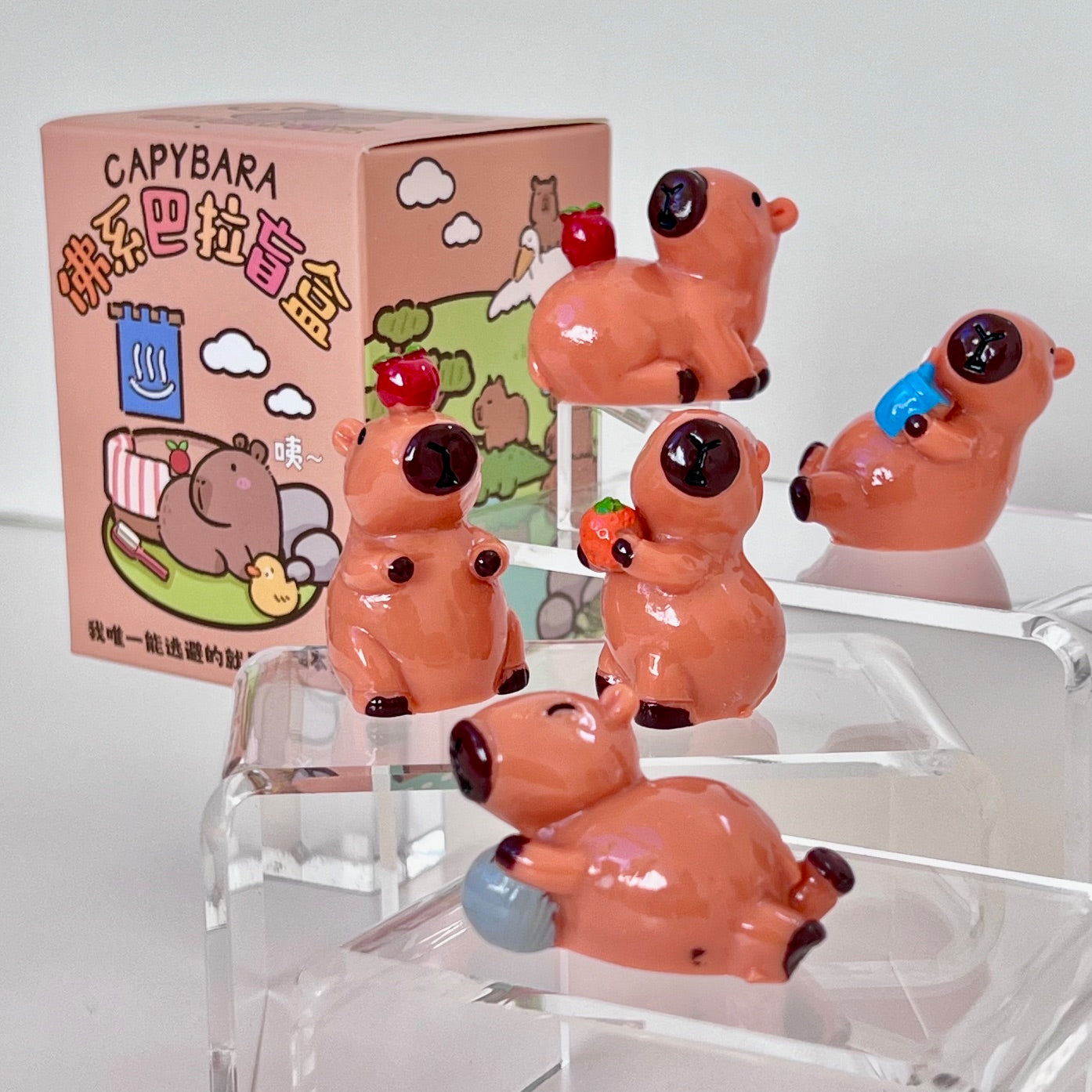 71043 CAPYBARA BLIND BOX-24