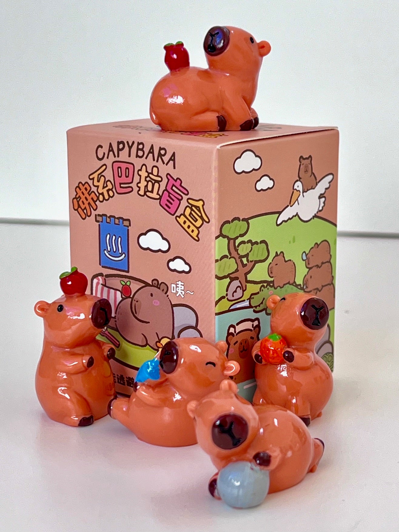 71043 CAPYBARA BLIND BOX-24