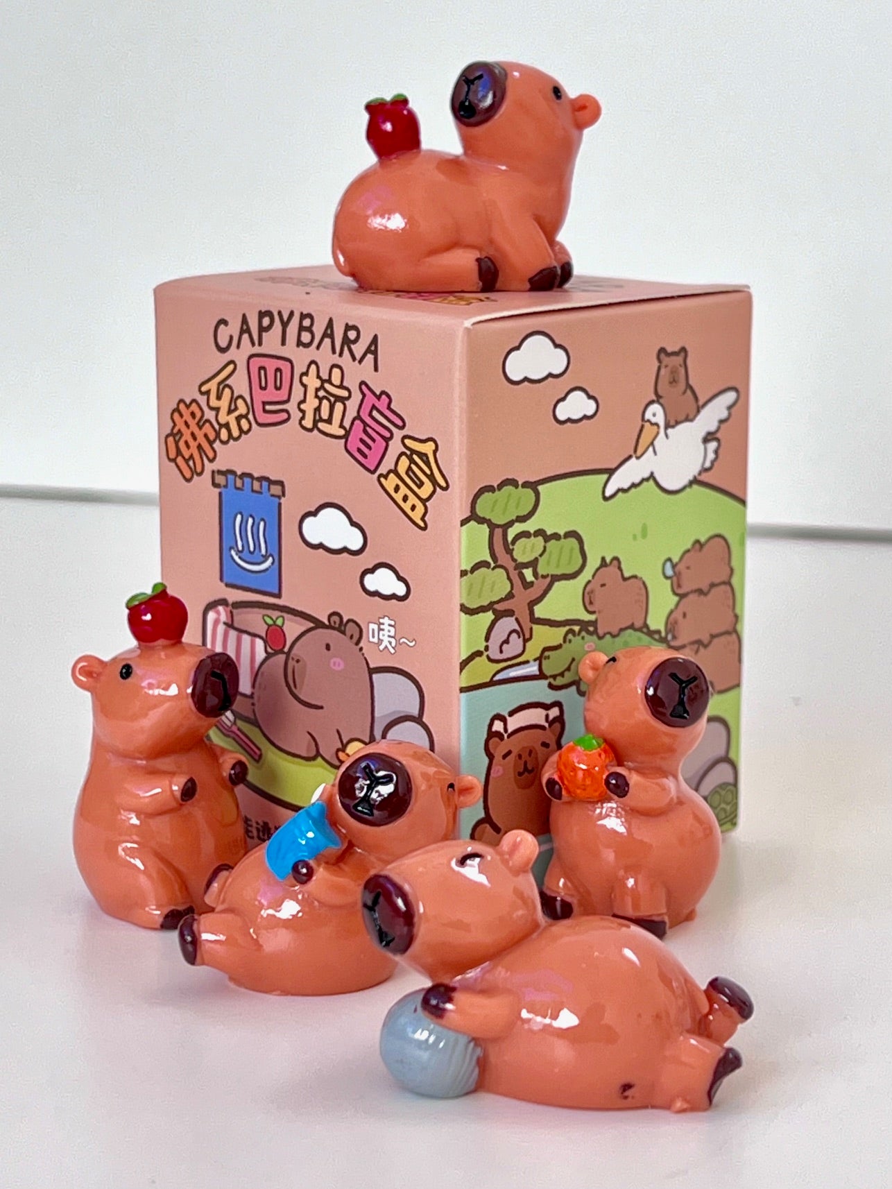 71043 CAPYBARA BLIND BOX-24