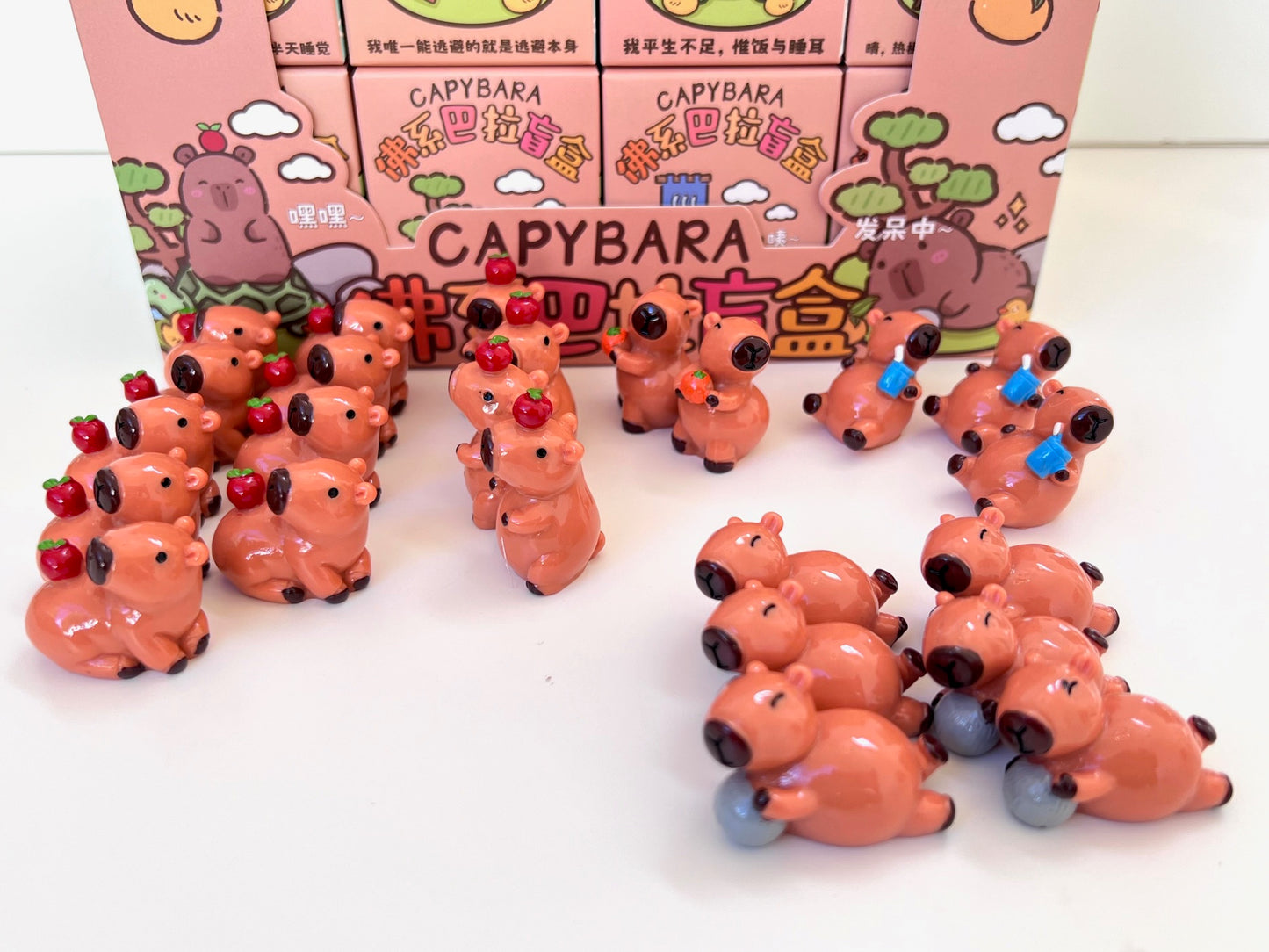 71043 CAPYBARA BLIND BOX-24