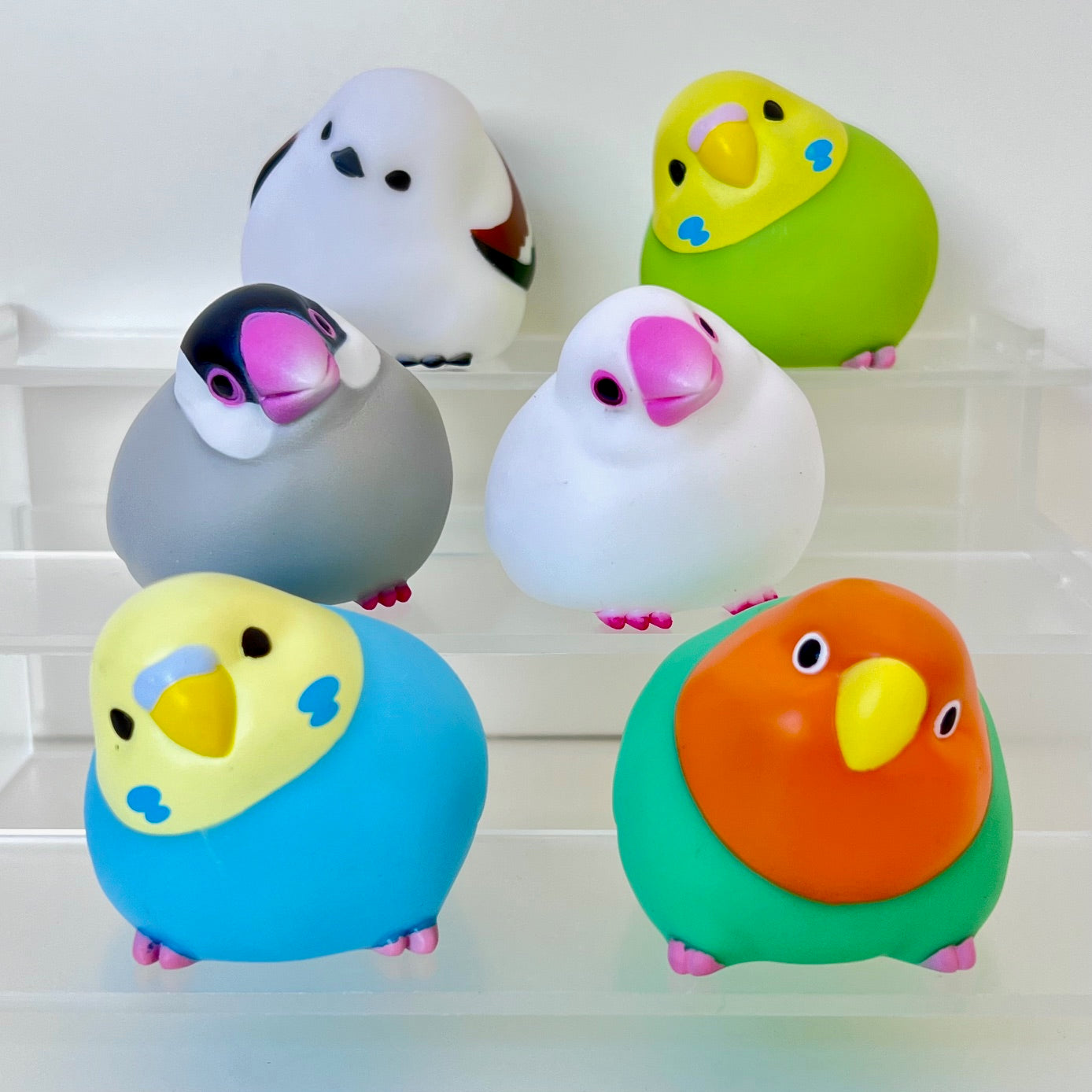 73053 Soft Bird Blind Box-12