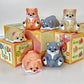 73031 Squeeze Shiba Dog Blind Box-10