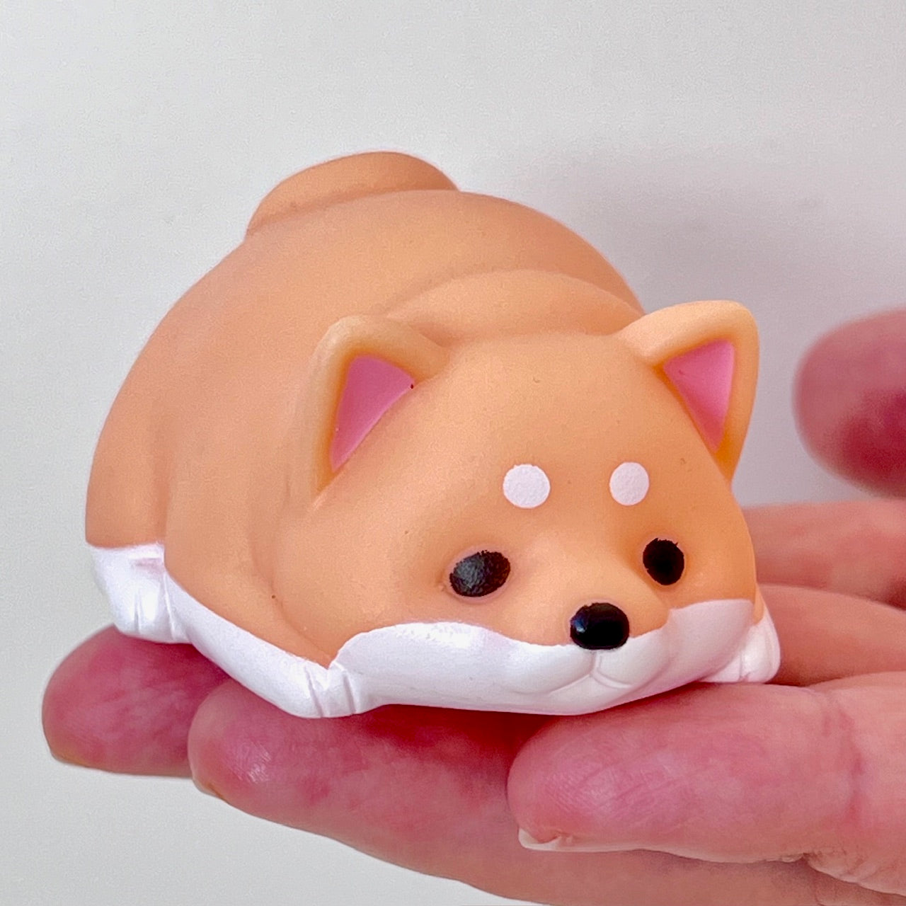 73031 Squeeze Shiba Dog Blind Box-10