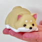 73031 Squeeze Shiba Dog Blind Box-10